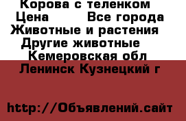 Корова с теленком › Цена ­ 69 - Все города Животные и растения » Другие животные   . Кемеровская обл.,Ленинск-Кузнецкий г.